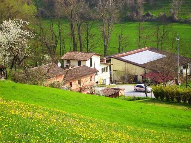 Grater formaggi di capra